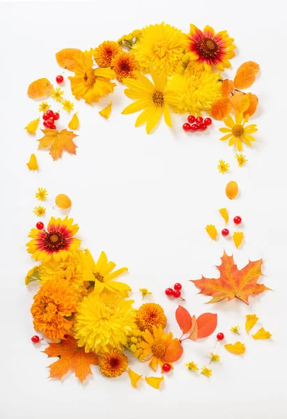 Herbst Blumen Und Blätter Auf Weißem Papier Hintergrund — Stockfoto