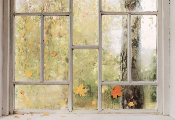 Bílé Staré Dřevěné Okno Kapkami Deště Podzimními Listy — Stock fotografie