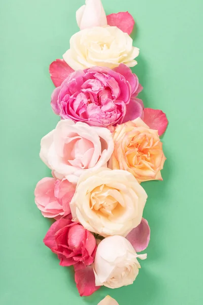 緑の紙の背景に美しいバラ — ストック写真