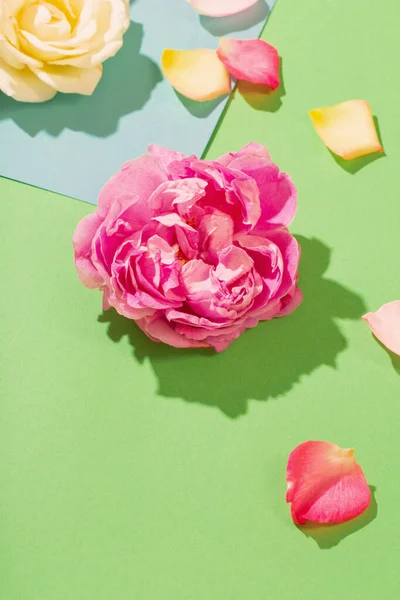 Τριαντάφυλλο Λουλούδια Πολύχρωμο Φόντο Χαρτί — Φωτογραφία Αρχείου