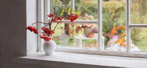 Baies Rowan Dans Vase Blanc Sur Rebord Une Vieille Fenêtre — Photo