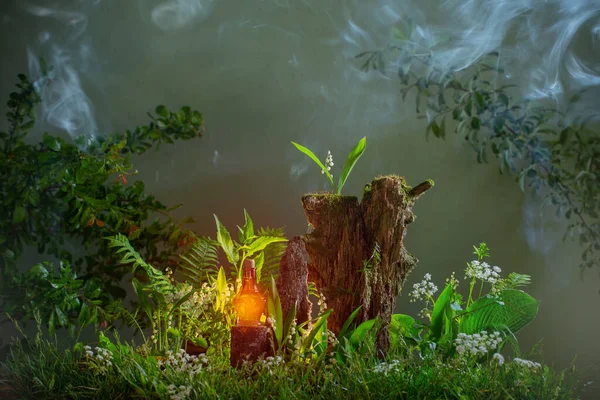 魔法森林里的魔法药水红色瓶子 — 图库照片