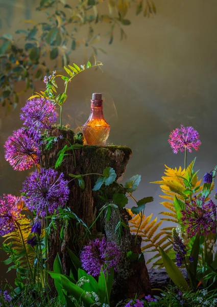 Бутылка Волшебных Зелий Волшебном Лесу — стоковое фото