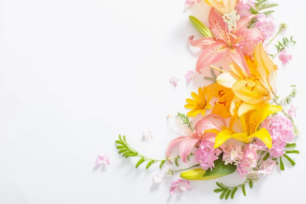 Brilhante Flores Verão Fundo Branco — Fotografia de Stock