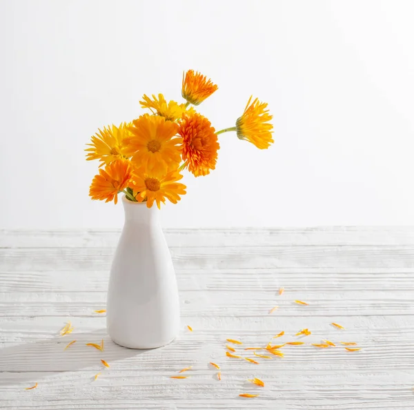 Calendula Arancione Vaso Bianco Fondo Bianco — Foto Stock