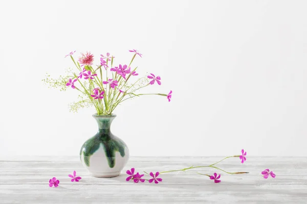 pink wild carnation in vase on white background