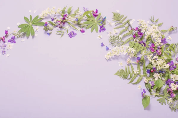 Flores Primavera Sobre Fondo Papel Violeta —  Fotos de Stock