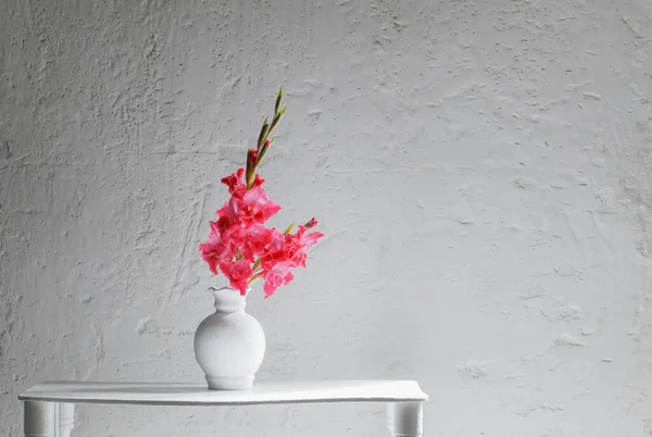 Arkadaki Beyaz Duvarda Beyaz Vazoda Pembe Gladiolus — Stok fotoğraf
