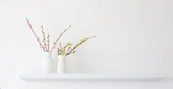 Branches Fleurs Printanières Dans Des Vases Blancs Sur Fond Blanc — Photo
