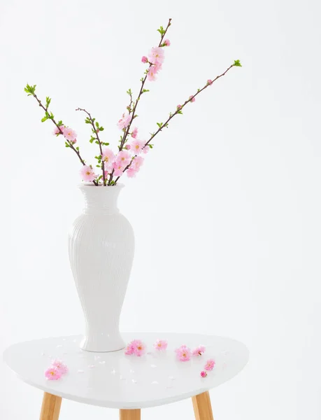 Větve Kvetoucích Mandlí Váze Bílém Pozadí — Stock fotografie