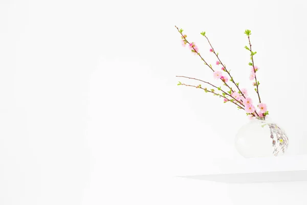 Ramos Amêndoas Florescentes Vaso Fundo Branco — Fotografia de Stock