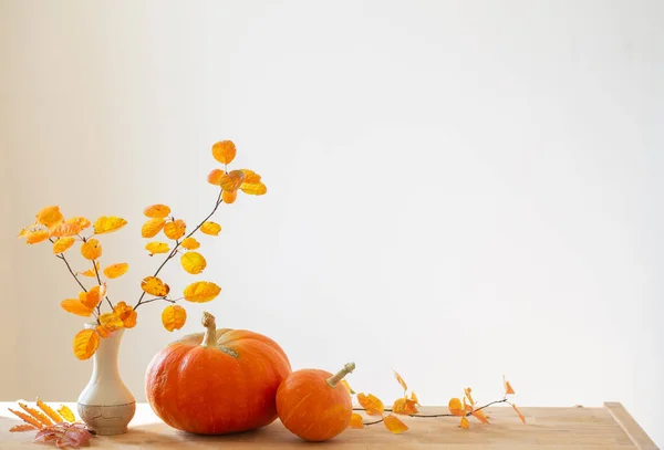 Autumn Branches Orange Leaves Vase Pumpkins White Background — Stock Photo, Image