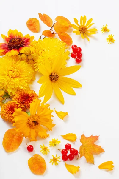 Осенние Цветы Листья Бумажном Фоне — стоковое фото