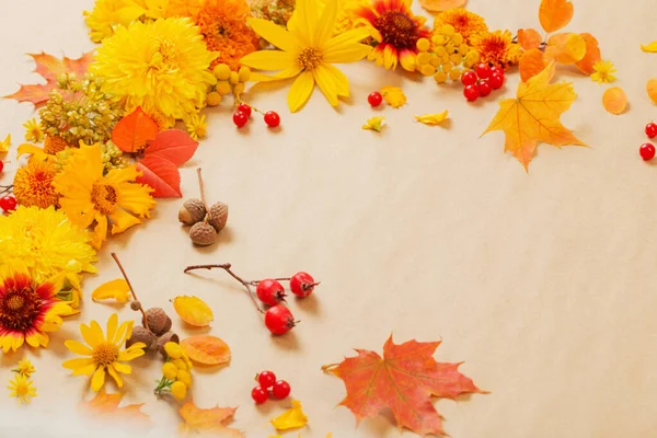 Autumn Flowers Leaves Paper Background — Stock Photo, Image