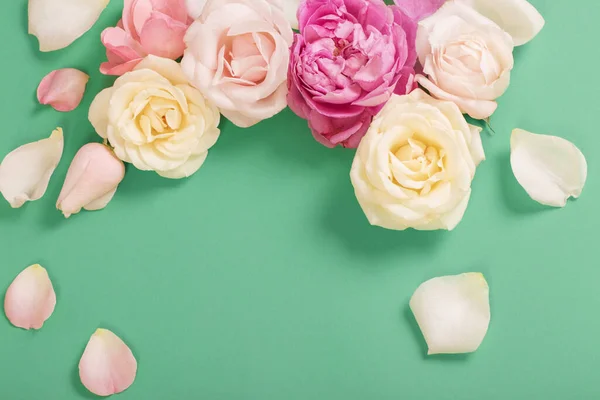 Красиві Троянди Зеленому Паперовому Фоні — стокове фото