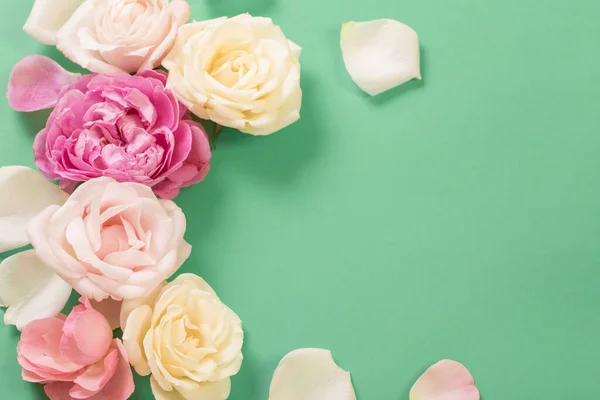 Hermosas Rosas Sobre Fondo Papel Verde — Foto de Stock
