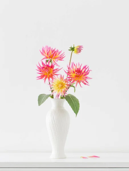 Schöne Rosa Dahlie Weißer Vase Auf Weißem Hintergrund — Stockfoto