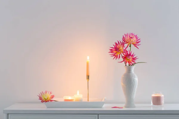 Beyaz Vazoda Güzel Pembe Yıldız Çiçekleri Beyaz Arka Planda Yanan — Stok fotoğraf