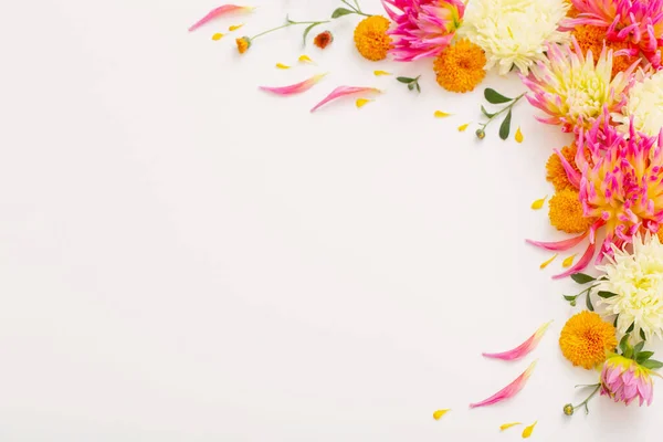Hermosa Composición Flores Sobre Fondo Blanco — Foto de Stock
