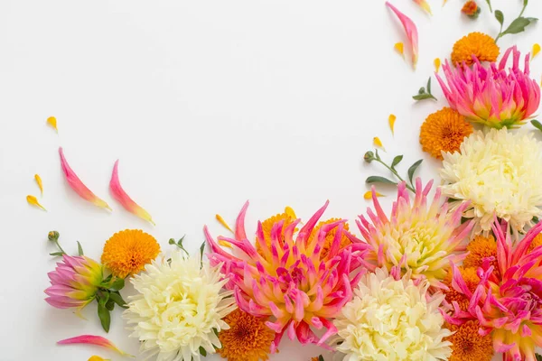 Vackra Blommor Sammansättning Vit Bakgrund — Stockfoto