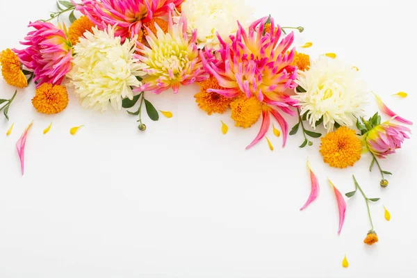 stock image beautiful flowers composition on white background