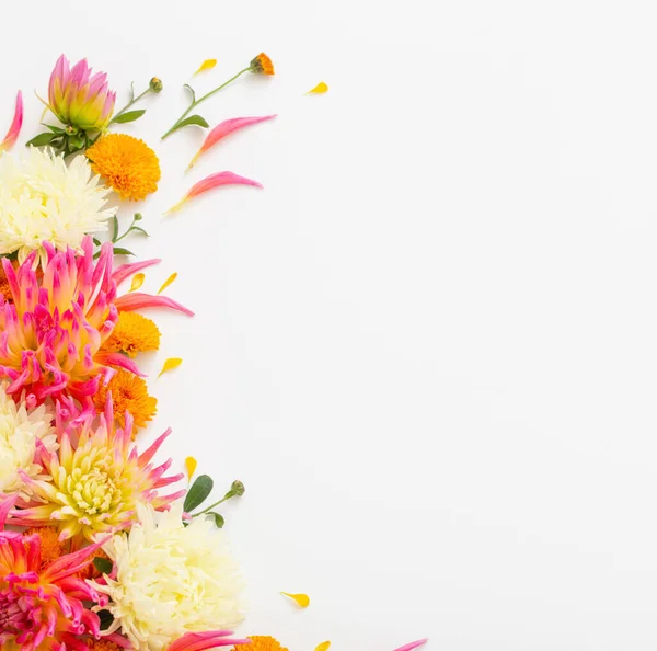 Красива Квіткова Композиція Білому Тлі — стокове фото
