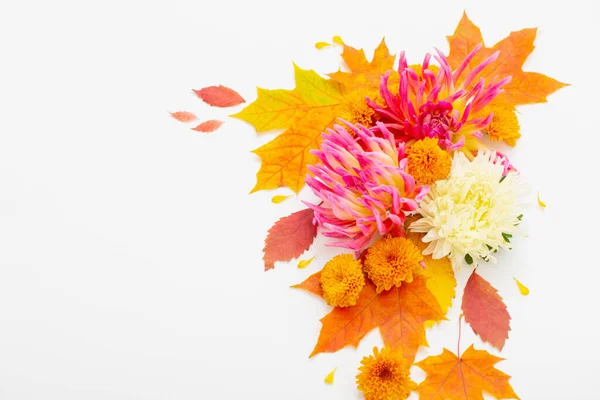 白地に紅葉と花の構図 — ストック写真
