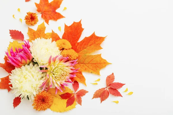Autumn Leaves Flowers Composition White Background — Stock Photo, Image