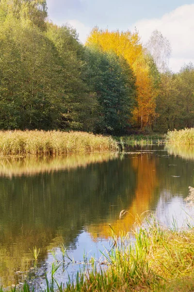 Herbstlandschaft Mit Fluss Sonnenlicht — Stockfoto
