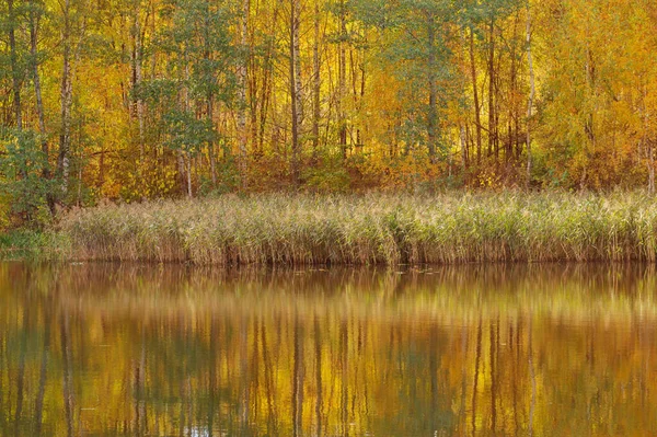 stock image autumn landscape with river in sunlight