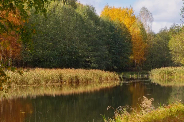Herbstlandschaft Mit Fluss Sonnenlicht — Stockfoto