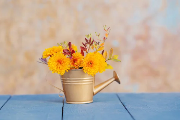 黄金の散水で菊の花は古い壁の上に缶 — ストック写真