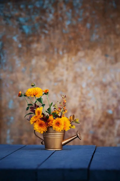 Kasımpatı Çiçekleri Altın Sulama Kutusunda Arka Planda Eski Duvarda Güneş — Stok fotoğraf