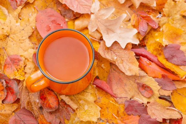 Oranžový Šálek Čaje Pozadí Podzimních Listů — Stock fotografie