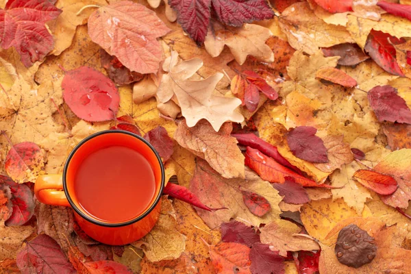 Oranžový Šálek Čaje Pozadí Podzimních Listů — Stock fotografie