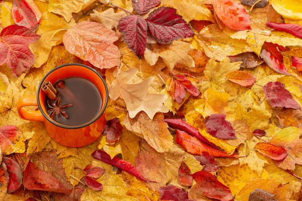 Oranžový Šálek Kávy Pozadí Podzimních Listů — Stock fotografie
