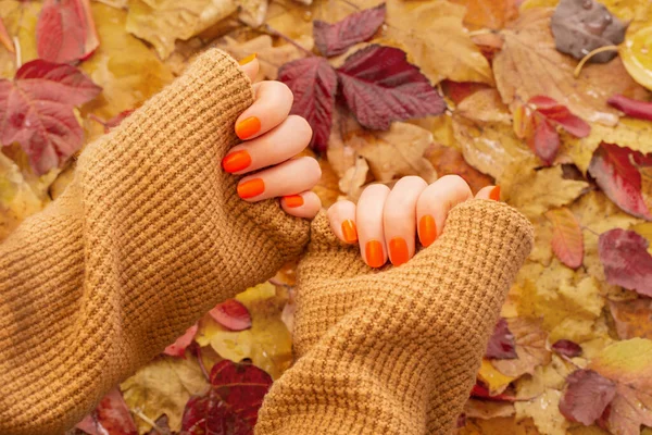 female hands with orange manicure   on  background of autumn leaves
