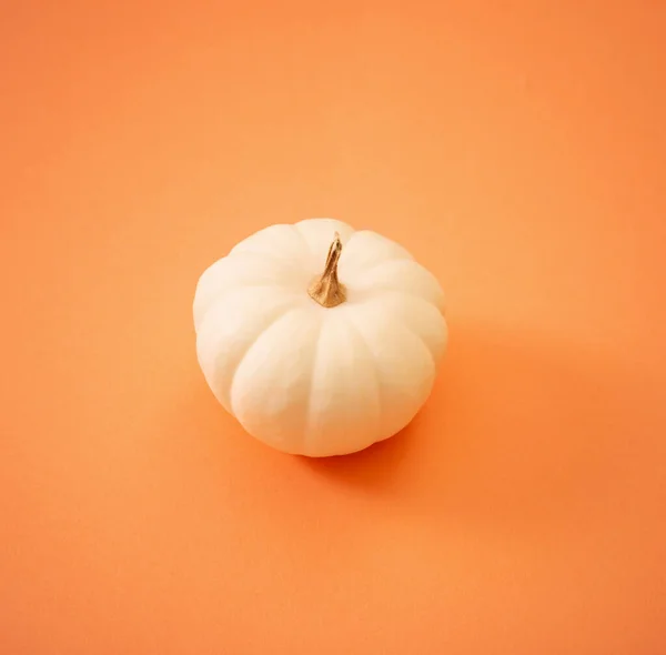 オレンジの背景に白いカボチャ — ストック写真