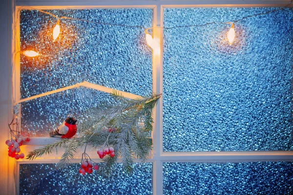 Weihnachtsdekoration Mit Tannenzweig Roter Beere Vogelfutterhäuschen Mit Gimpel Auf Glastür — Stockfoto