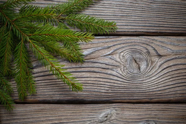 Gałąź Jodły Starym Ciemnym Drewnianym Tle — Zdjęcie stockowe
