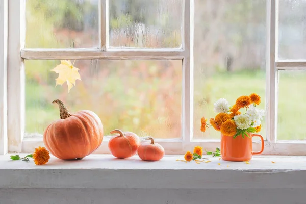 Autumn Flowers Pumpkins Old White Windowsill — Stock Photo, Image