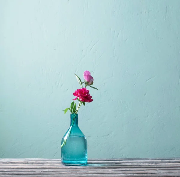 Peonías Rosadas Jarrón Cristal Sobre Fondo Azul —  Fotos de Stock