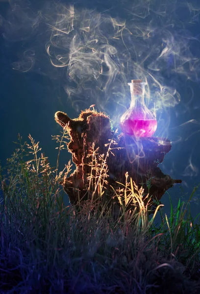 Bottle Magic Potions Magical Forest — Stock Photo, Image