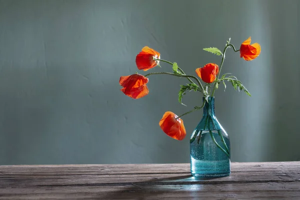 绿色底色玻璃瓶中的红罂粟 — 图库照片