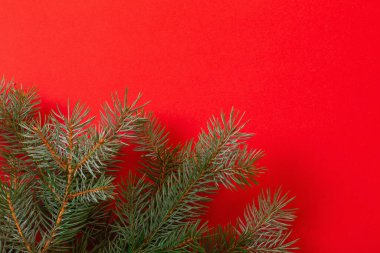 Kırmızı Noel arkaplanındaki yeşil köknar dalları