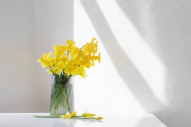 Sarı bahar nergisleri beyaz arkaplanda cam vazoda