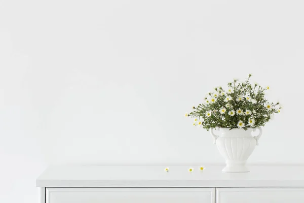 Vita Blommor Vit Keramik Vas Vit Interiör — Stockfoto