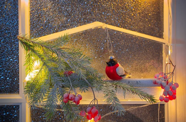 モミの枝 赤いベリー ガラスのドアにブルフィンチと鳥のフィーダーとクリスマスの装飾 — ストック写真
