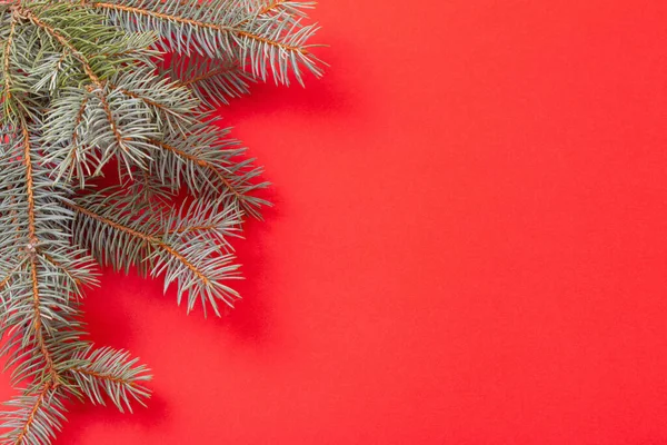 Grüne Tannenzweige Auf Rotem Hintergrund Weihnachten — Stockfoto