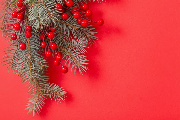 Green Fir Branches Red Christmas Background — Stock Photo, Image